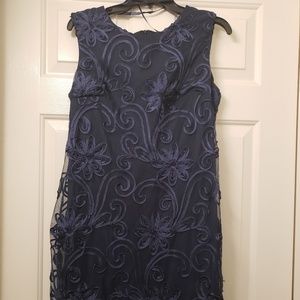 Dress Barn blue embroidered mini